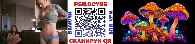 Псилоцибиновые грибы мицелий  Купить закладки  Бабушкин 